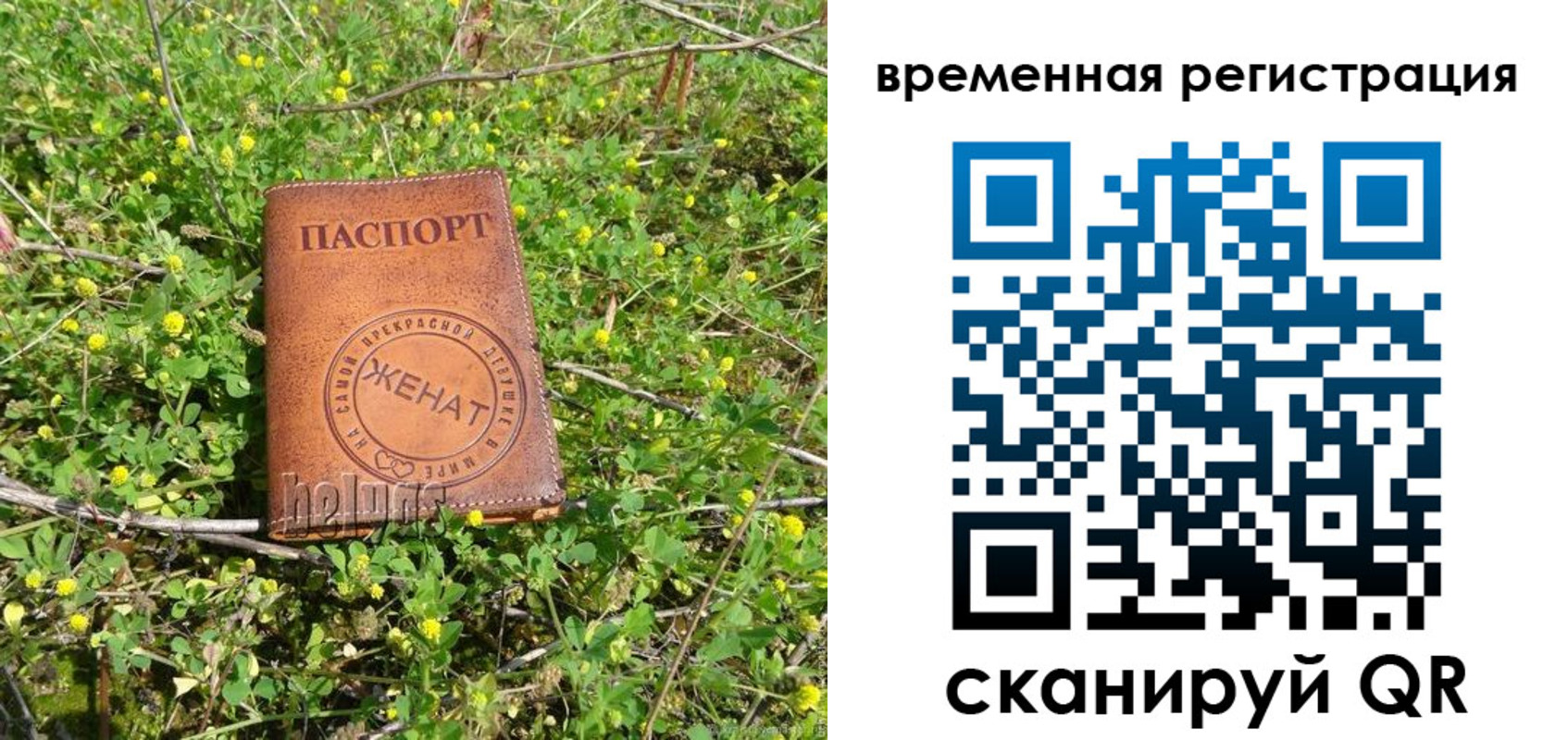 прописка регистрация в Жуковке