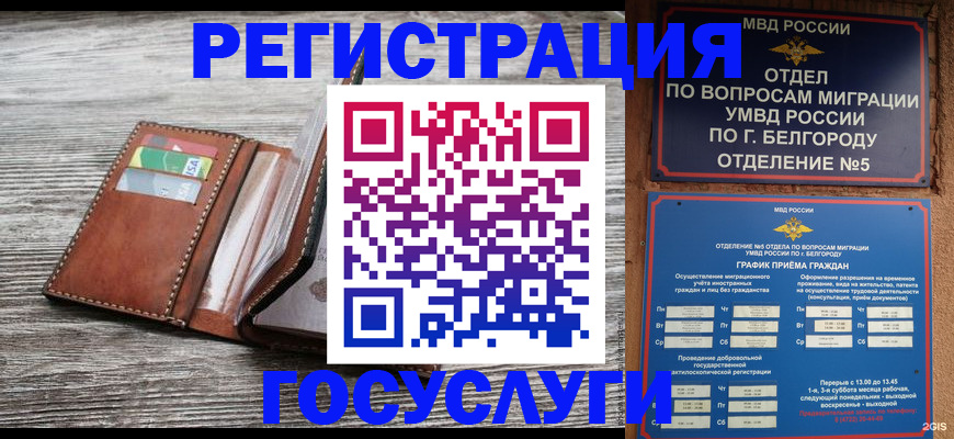 временная регистрация гарантия в Жуковке